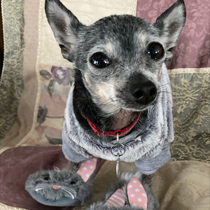 Fundraising Page: Anna Socha